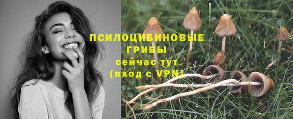 трава Нефтекумск