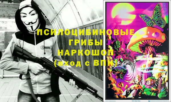 трава Нефтекумск