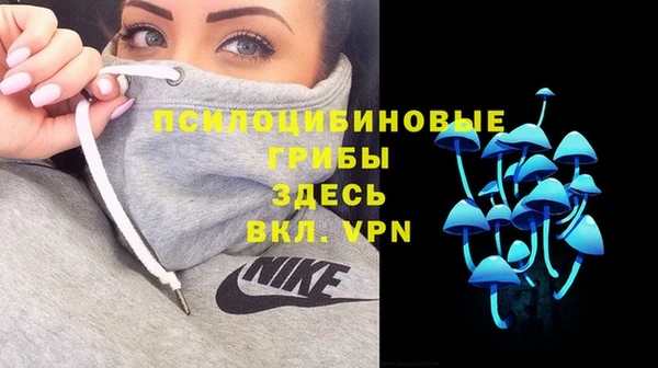 трава Нефтекумск