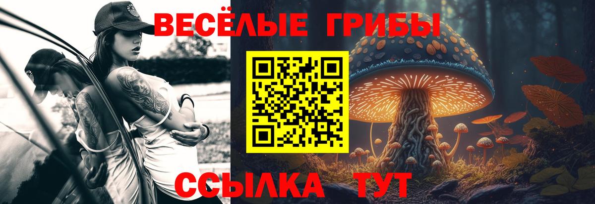 Псилоцибиновые грибы MAGIC MUSHROOMS  Псилоцибиновые грибы прущие грибы  Кинешма  Вход с VPN 