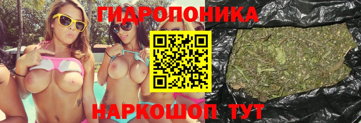 Каннабис план  Каннабис Amnesia  Кинешма  Вход с VPN  Канабис White Widow  Бошки марихуана VHQ 
