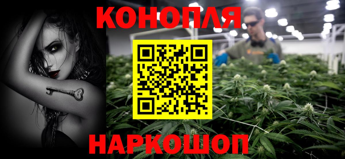 Бошки Шишки ГИДРОПОН Кинешма